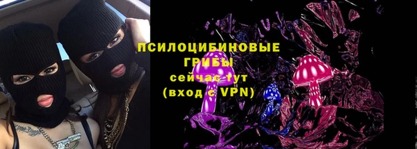 spice Беломорск