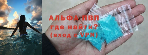 молекула духа Белокуриха