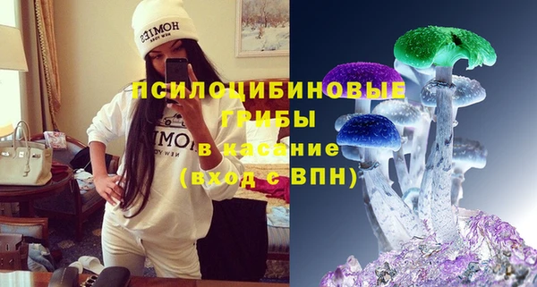 мдма Богородицк